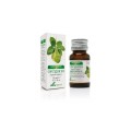 Soria Natural essential oil oregano 15ml