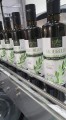 Physis of Crete Extra Virgin Olive Oil, Early Harvest Agoureleo, 500ml
