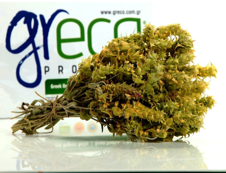 Greco gojnik from Olympus (sideritis scardica) 20g ORGANIC – image 4