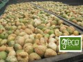 Greco Dried Figs 500g ORGANIC sale BB.03.2026