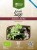 Greco sage (salvia officinalis) 40g ORGANIC – image 3
