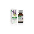 Soria Natural essential oil lavender 15ml