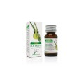 Soria Natural essential oil rosemary 15ml