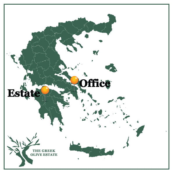 The Greek Olive Estate Drop of Life EVOO 250ml BIO – image 2