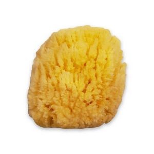 Natural Grass Structure Sea Sponge 11-12cm