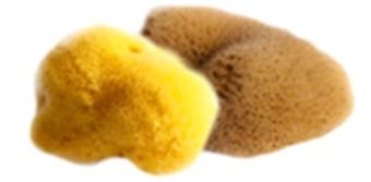 Kereso Sponges Natural Sea Silk Sponge 9.5-11cm