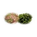 Madara by Tofillo Wellness Herbal Mixture Mint & Aladdin 22g