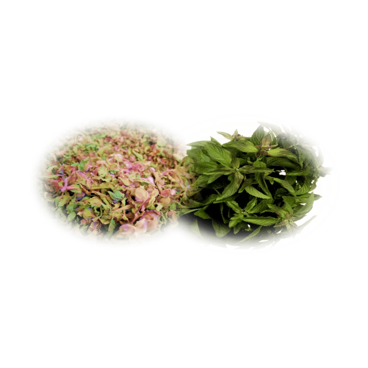 Madara by Tofillo Wellness Herbal Mixture Mint & Aladdin 22g – image 3