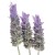Soria Natural essential oil lavender 15ml – image 2