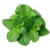 Soria Natural essential oil peppermint 15ml – image 2