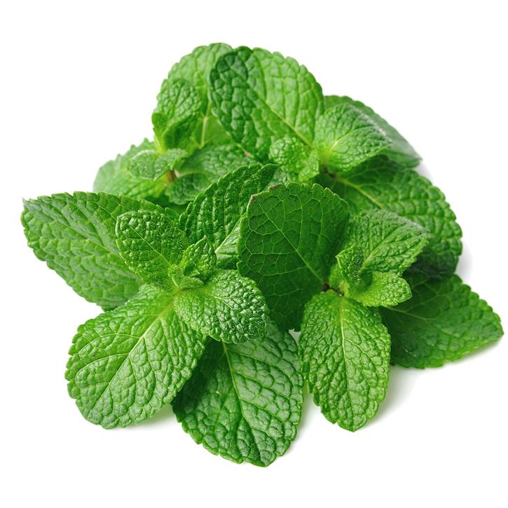 Soria Natural essential oil peppermint 15ml – image 2