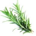 Soria Natural essential oil rosemary 15ml