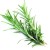 Soria Natural essential oil rosemary 15ml – image 2