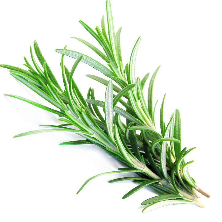 Soria Natural essential oil rosemary 15ml – image 2