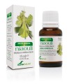 Soria Natural Niaouli Oil 15ml Sale BB.08.2026
