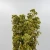 Madara by Tofillo Oregano (Origanum vulgare) 30g (1) – image 3