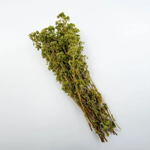 Madara by Tofillo Oregano (Origanum vulgare) 30g (1)