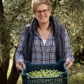 Pangaea extra virgin olive oil, early harvest Agoureleo 500ml ORGANIC