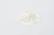 Mastiha Powder for Cooking 50g – image 2