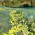 Olive Poem A Drop of Health – previous edition, replaced in season 25/26 by Drop of Art (Gold – excellent results) – image 8