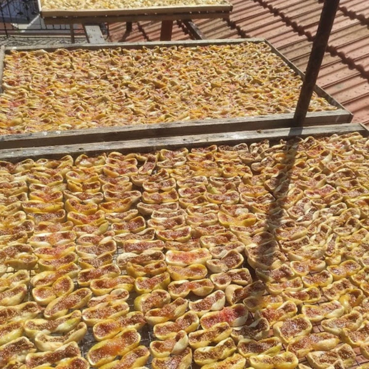 Philosykos Sun-dried figs from Kymi, Evia 230g ORGANIC – image 4