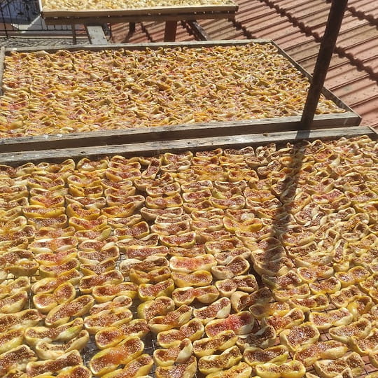 Philosykos Kymi Figs from Evia (sun-dried) 470g P.D.O. BIO – image 3