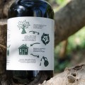 Potolo extra virgin olive oil Kissamos (regenerative agriculture) 500ml ORGANIC