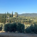 KALI EVOO Cipressino Toscano (Italy) PGI  250ml BIO