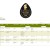 KYKLOPAS Ages Ultra Premium EVOO (double gold) Limited BOX 500ml BIO – image 2
