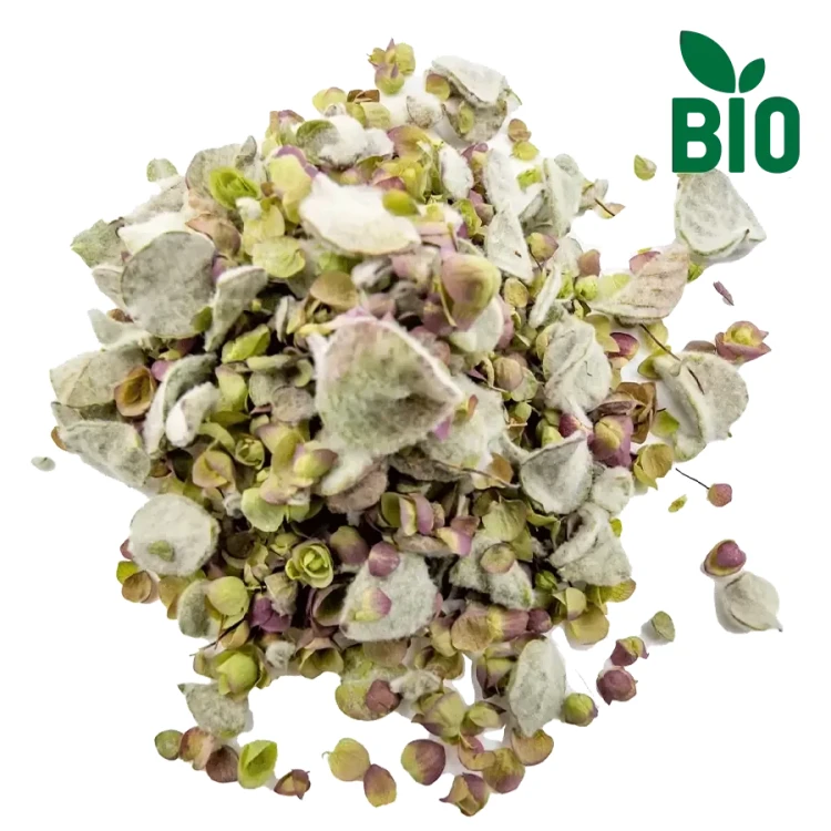 Tofillo Dictamo (dittany) from Crete 25g ORGANIC (doypack) – image 2