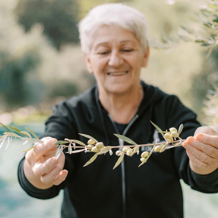 Holiston extra virgin olive oil Ultra Premium Phenolic 500ml – image 13
