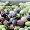 Wild Groves extra virgin olive oil Foxy C.O.O.C. California (USA) 750ml (HPLC 1030 mg/kg)