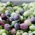 Wild Groves extra virgin olive oil Foxy C.O.O.C. California (USA) 750ml (HPLC 1030 mg/kg) – image 12