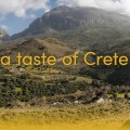 Meligyris Forest Honey from Crete with Sage 30g