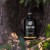 Asopiton Ultra Premium Extra Virgin Early Harvest Koroneiki Monovarietal Olive Oil 500ml – image 12