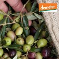 Epikouros Organic White Balsamic Vinegar 500ml (Demeter Certified)