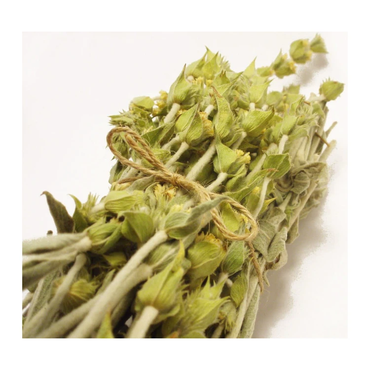 Greco mountain sage (Sideritis raeseri) 40g from organic cultivation – image 4