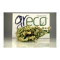 Greco mountain sage (Sideritis scardica) 40g from organic cultivation