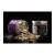 Evergetikon Dittany herb 22g – image 2