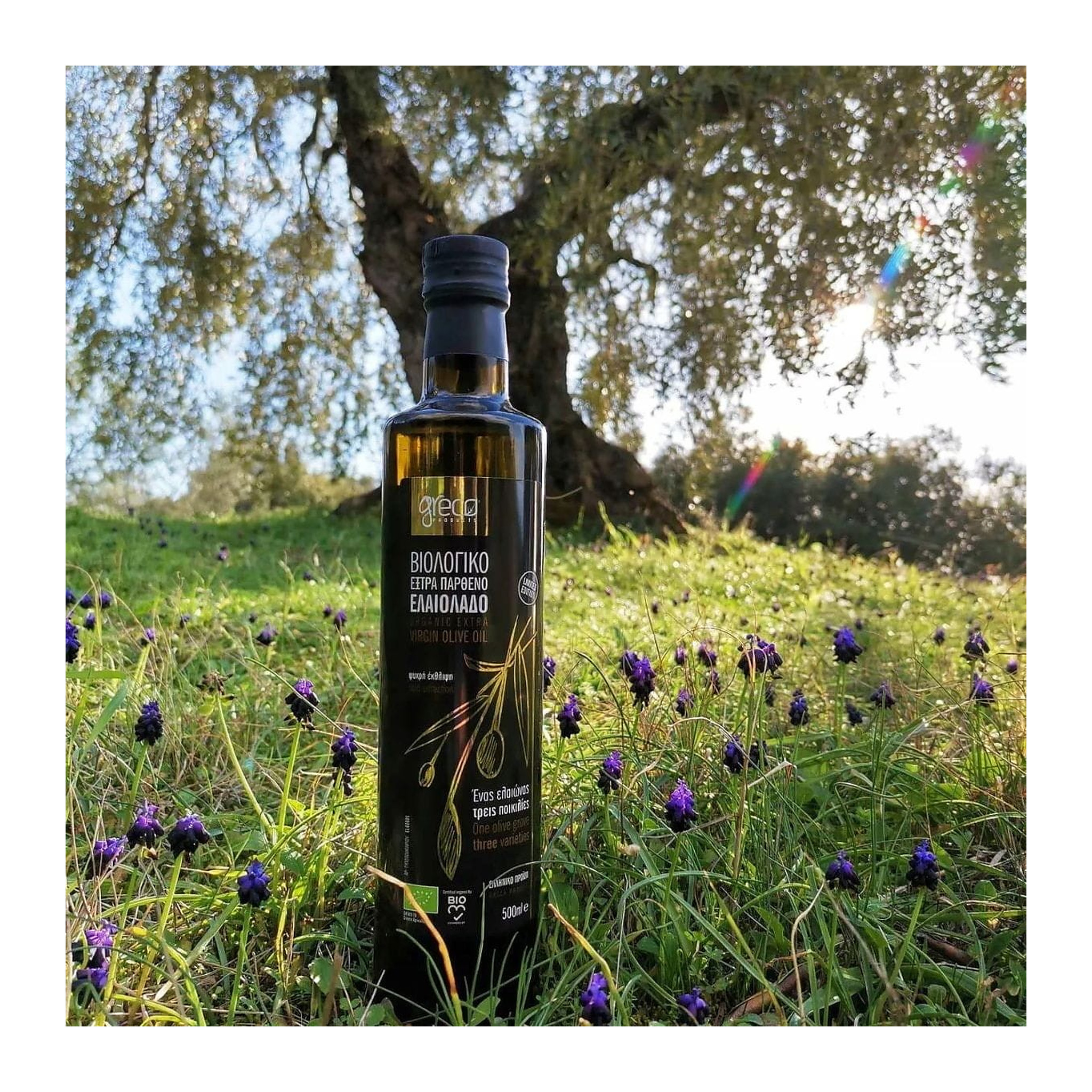 Greco EVOO 500ml BIO – image 2