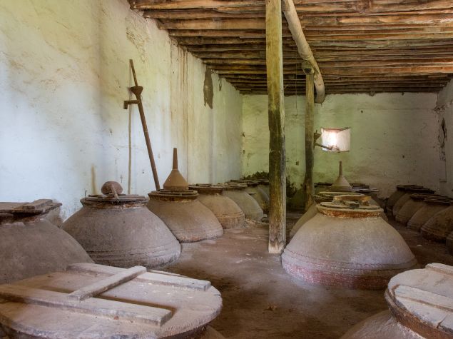 High Phenolic EVOO storage